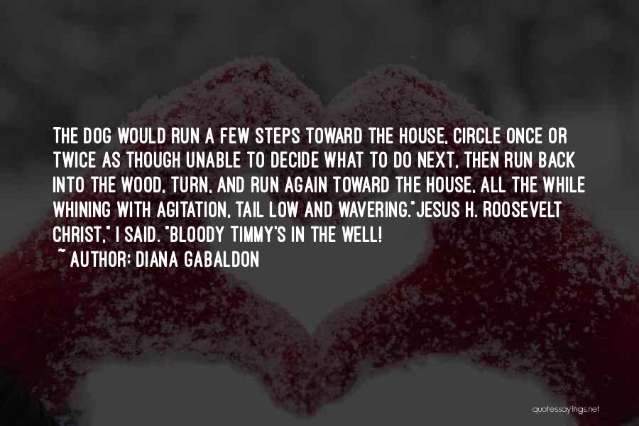 Dog Tail Quotes By Diana Gabaldon