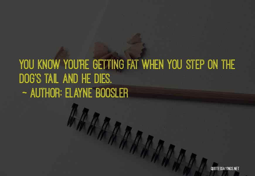 Dog Tail Quotes By Elayne Boosler