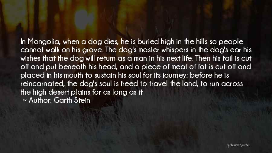 Dog Tail Quotes By Garth Stein