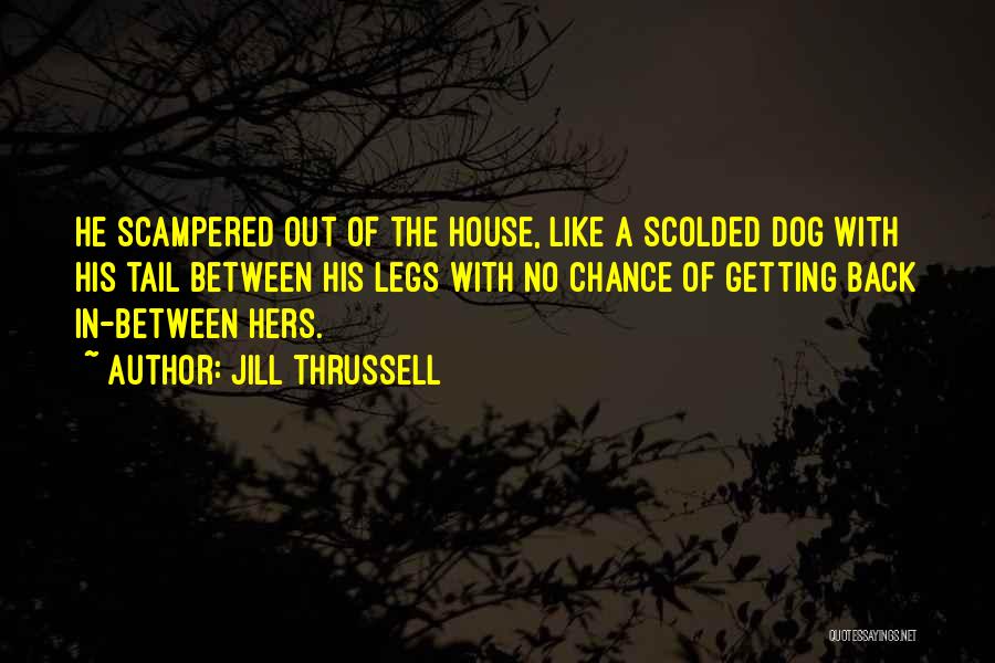 Dog Tail Quotes By Jill Thrussell