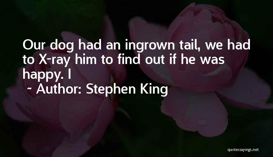 Dog Tail Quotes By Stephen King