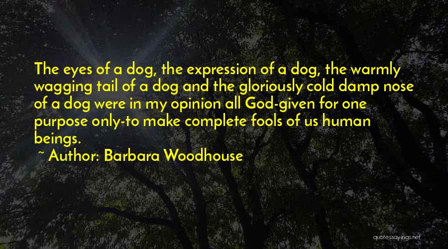 Dog Tail Wagging Quotes By Barbara Woodhouse