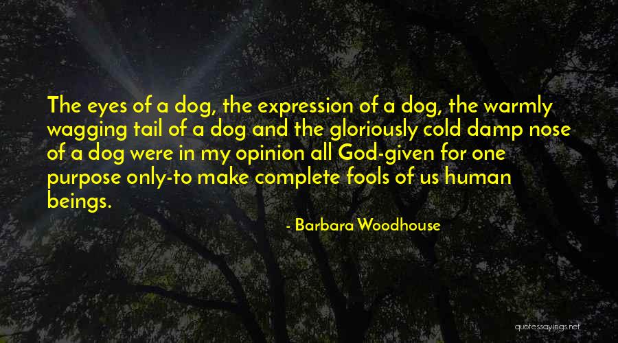 Dog Tail Wagging Quotes By Barbara Woodhouse