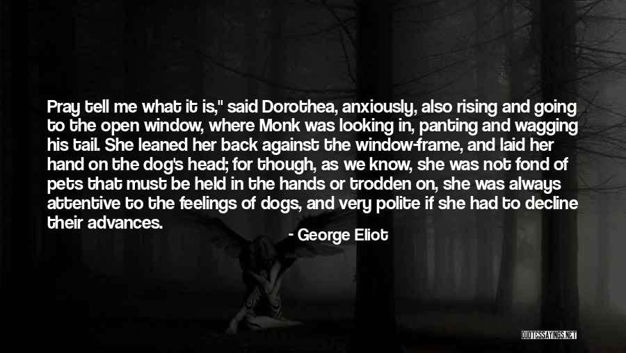 Dog Tail Wagging Quotes By George Eliot