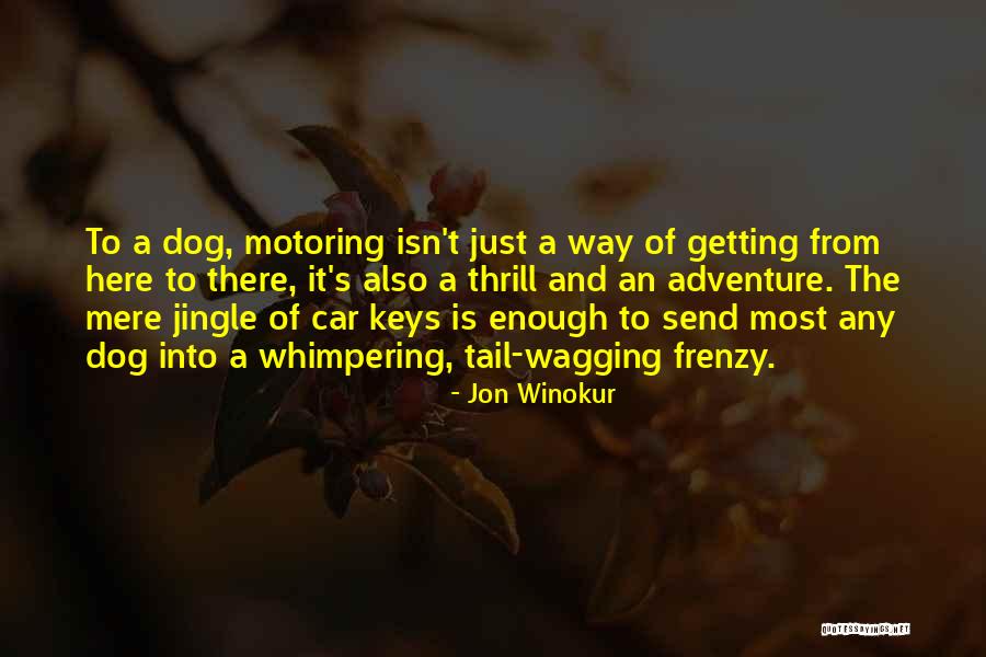 Dog Tail Wagging Quotes By Jon Winokur