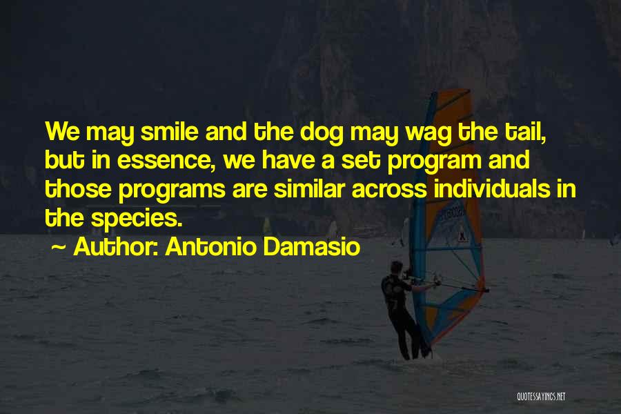 Dog Tails Quotes By Antonio Damasio
