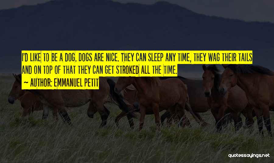 Dog Tails Quotes By Emmanuel Petit