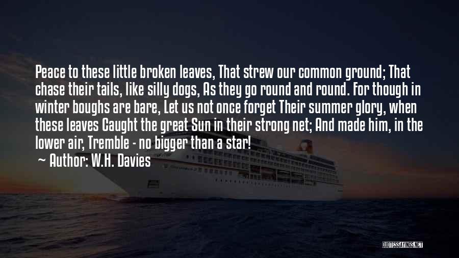 Dog Tails Quotes By W.H. Davies