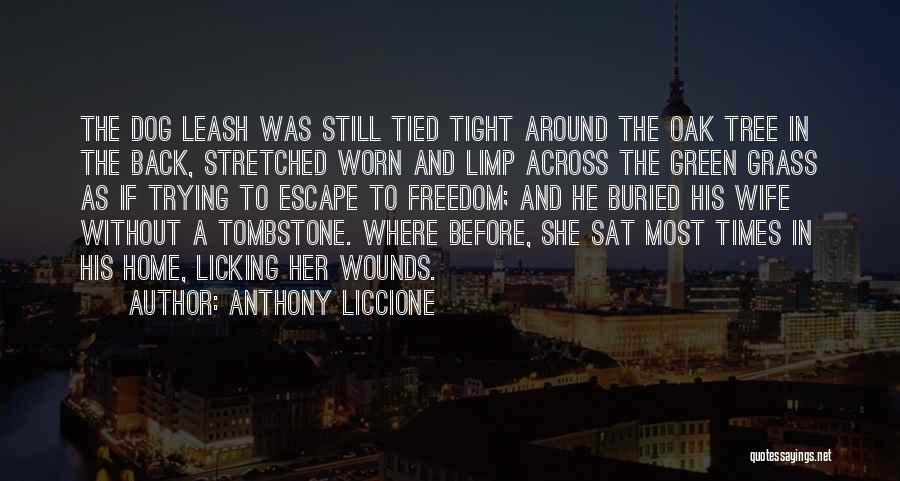 Dog Tombstone Quotes By Anthony Liccione