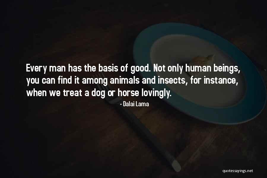 Dog Treat Quotes By Dalai Lama