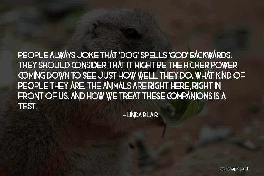 Dog Treat Quotes By Linda Blair