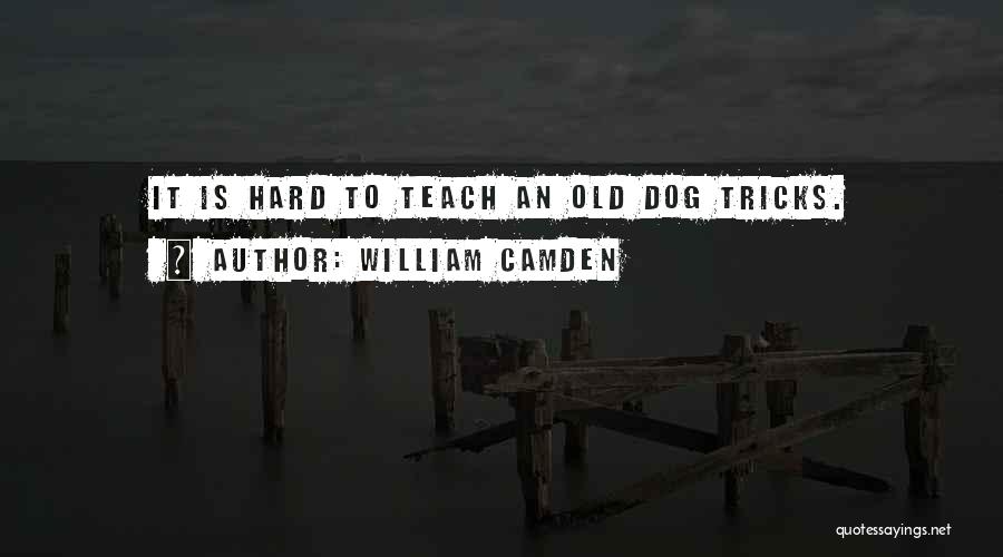 Dog Tricks Quotes By William Camden