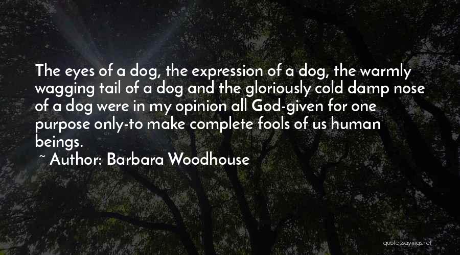 Dog Wagging Tail Quotes By Barbara Woodhouse