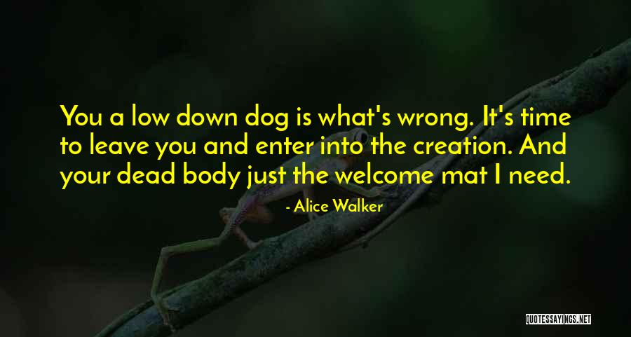 Dog Walker Quotes By Alice Walker