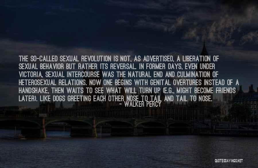 Dog Walker Quotes By Walker Percy Dog Walker Quotes By Walker Percy