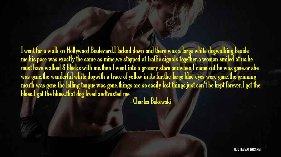 Dog Walking Quotes By Charles Bukowski Dog Walking Quotes By Charles Bukowski
