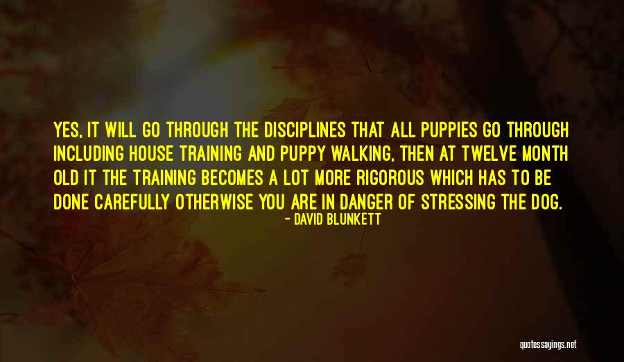 Dog Walking Quotes By David Blunkett Dog Walking Quotes By David Blunkett
