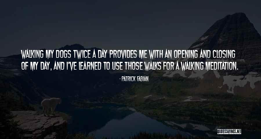 Dog Walking Quotes By Patrick Fabian