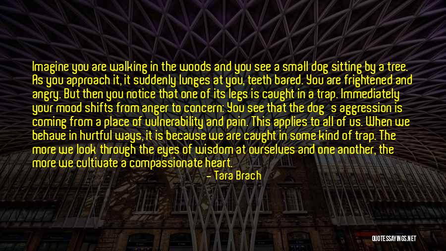 Dog Walking Quotes By Tara Brach Dog Walking Quotes By Tara Brach