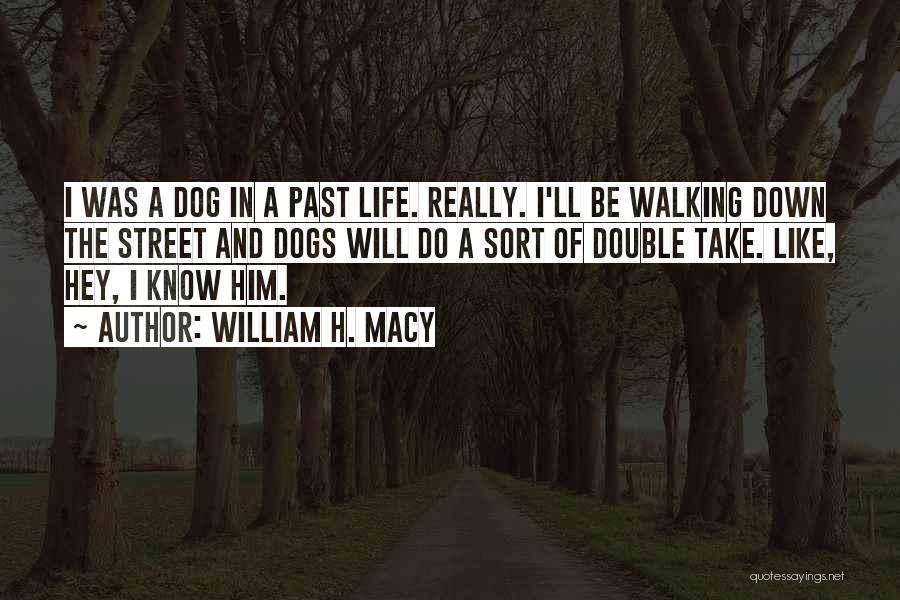 Dog Walking Quotes By William H. Macy