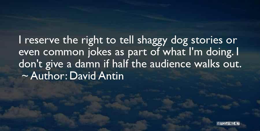 Dog Walks Quotes By David Antin