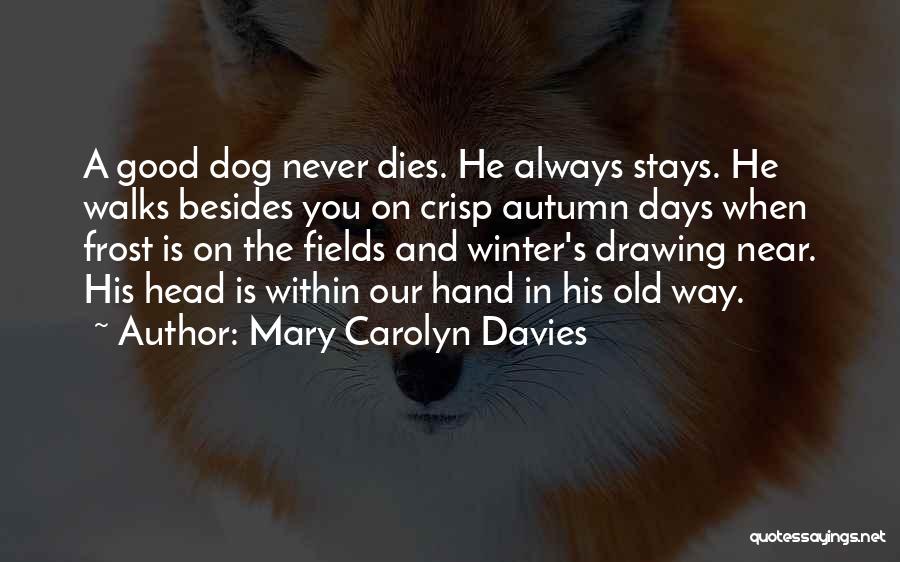 Dog Walks Quotes By Mary Carolyn Davies