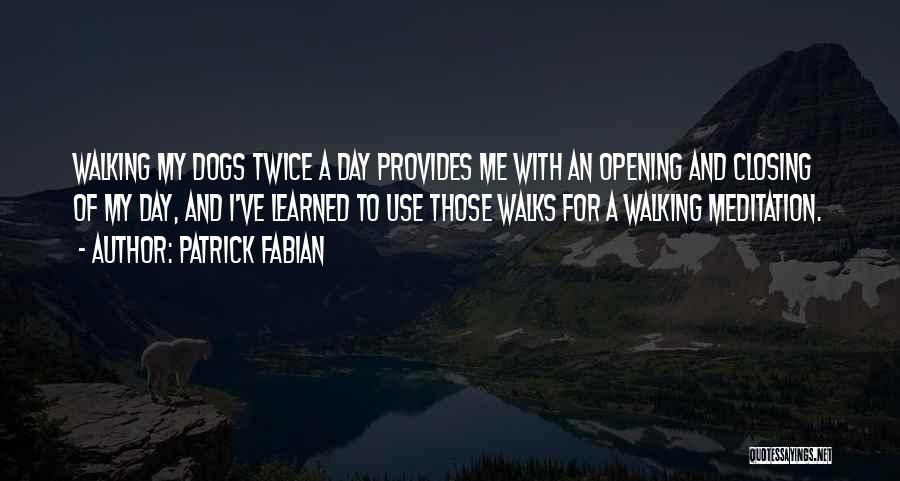 Dog Walks Quotes By Patrick Fabian