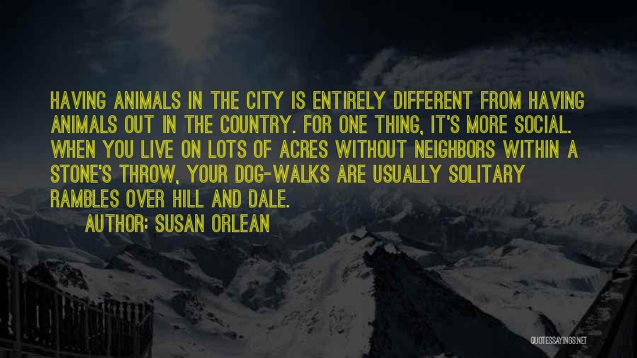 Dog Walks Quotes By Susan Orlean