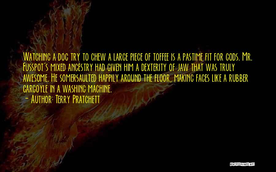 Dog Washing Quotes By Terry Pratchett