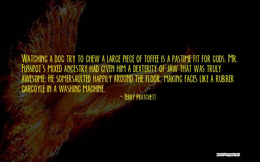 Dog Washing Quotes By Terry Pratchett