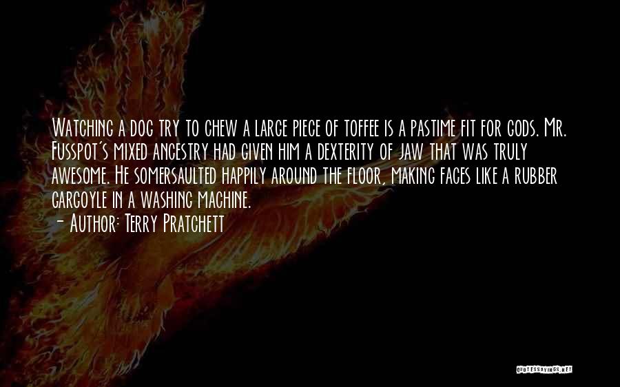 Dog Watching Quotes By Terry Pratchett