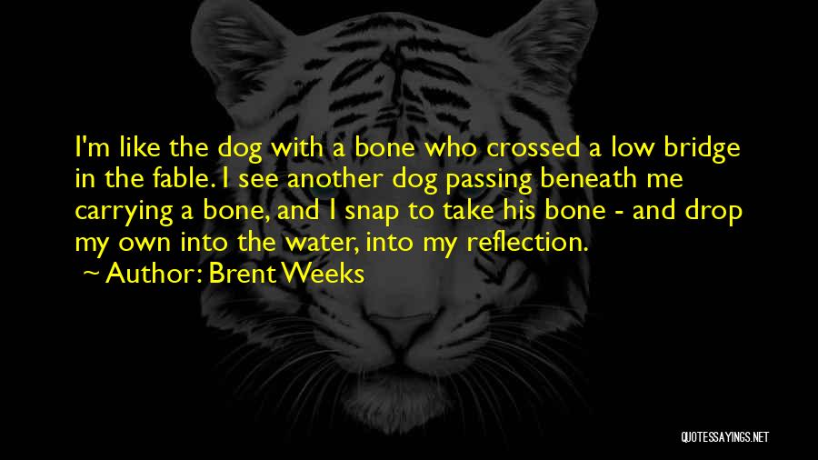 Dog Water Quotes By Brent Weeks