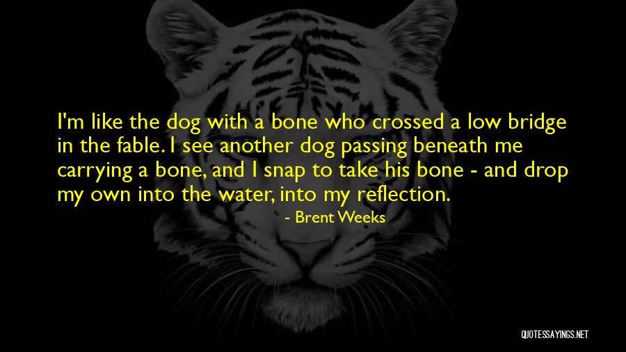 Dog Water Quotes By Brent Weeks