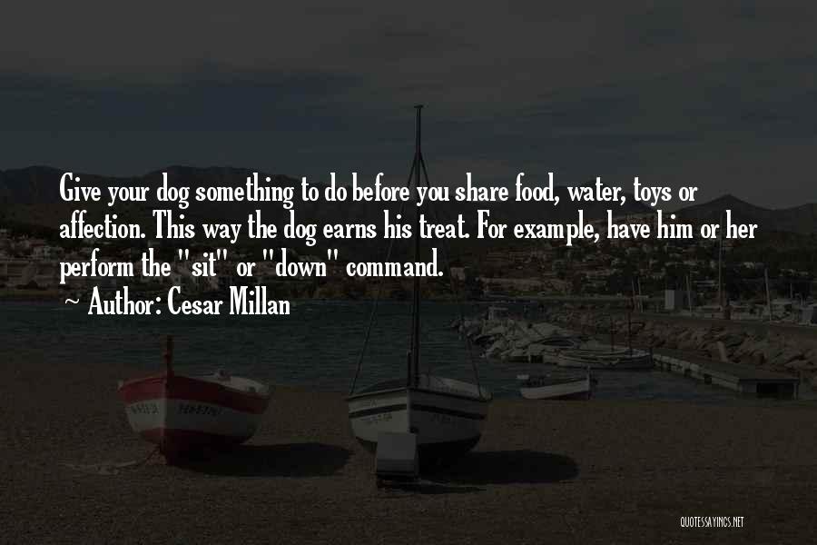 Dog Water Quotes By Cesar Millan