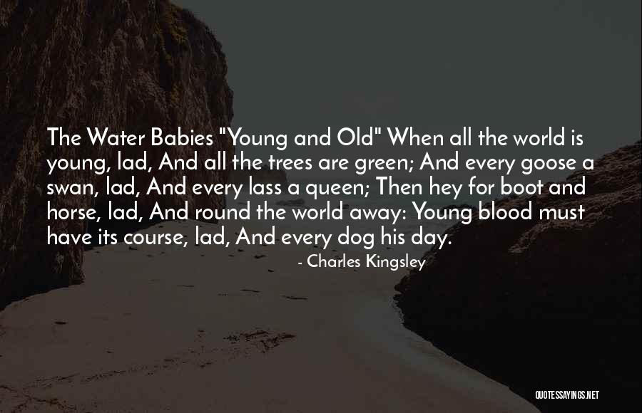 Dog Water Quotes By Charles Kingsley