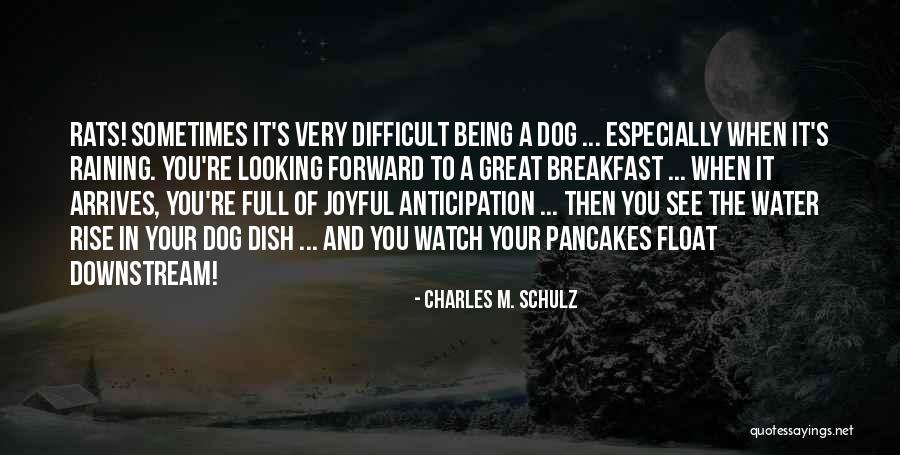 Dog Water Quotes By Charles M. Schulz Dog Water Quotes By Charles M. Schulz