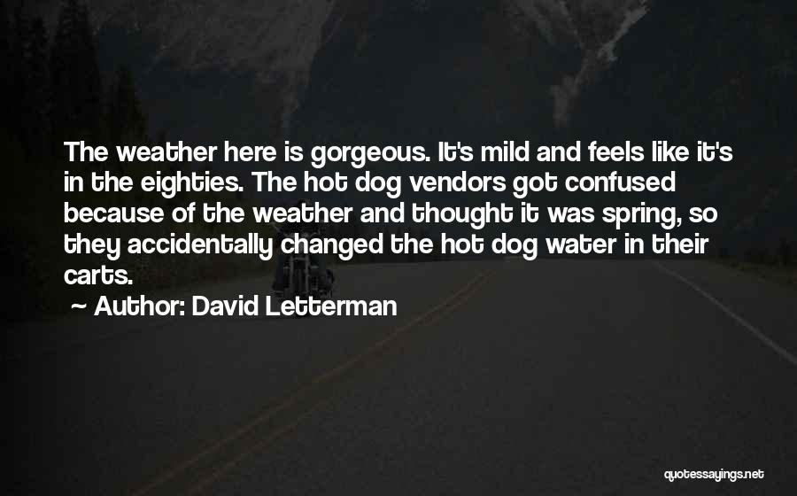Dog Water Quotes By David Letterman