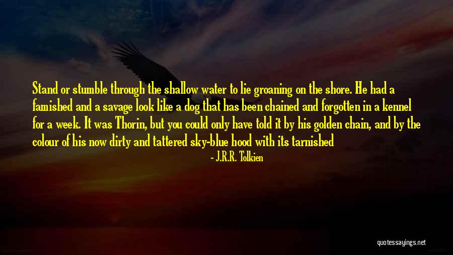 Dog Water Quotes By J.R.R. Tolkien