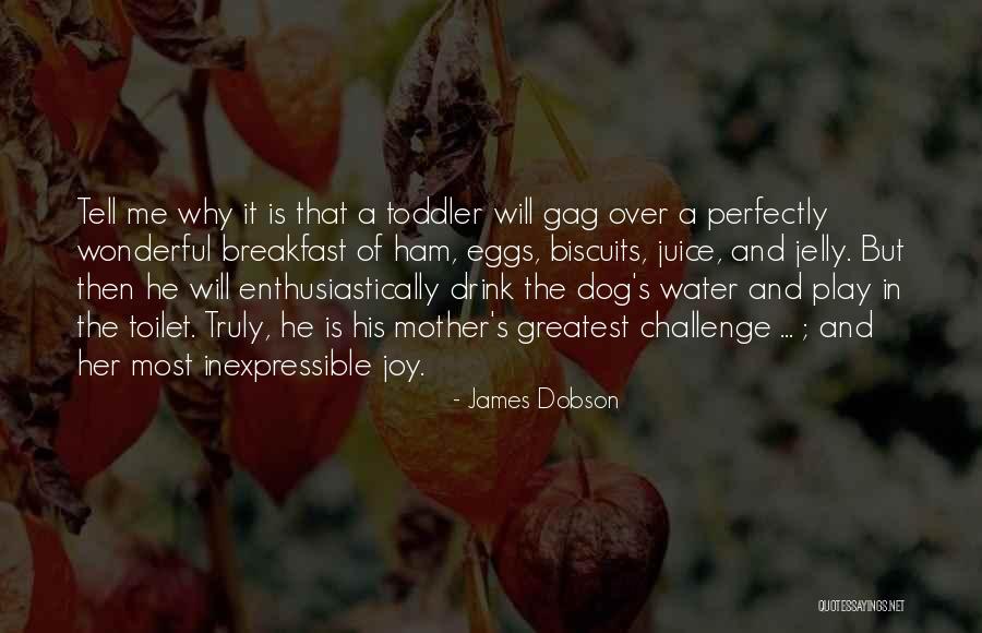 Dog Water Quotes By James Dobson