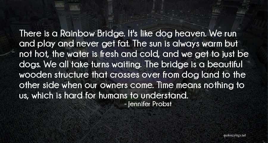 Dog Water Quotes By Jennifer Probst