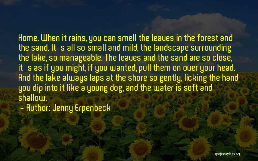 Dog Water Quotes By Jenny Erpenbeck