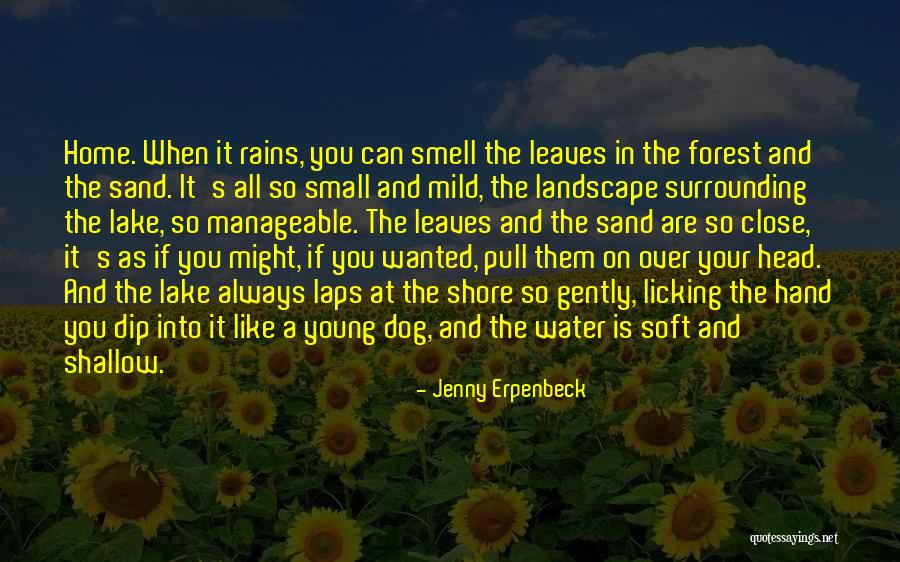Dog Water Quotes By Jenny Erpenbeck Dog Water Quotes By Jenny Erpenbeck