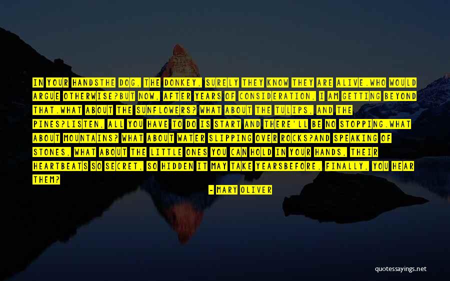 Dog Water Quotes By Mary Oliver Dog Water Quotes By Mary Oliver