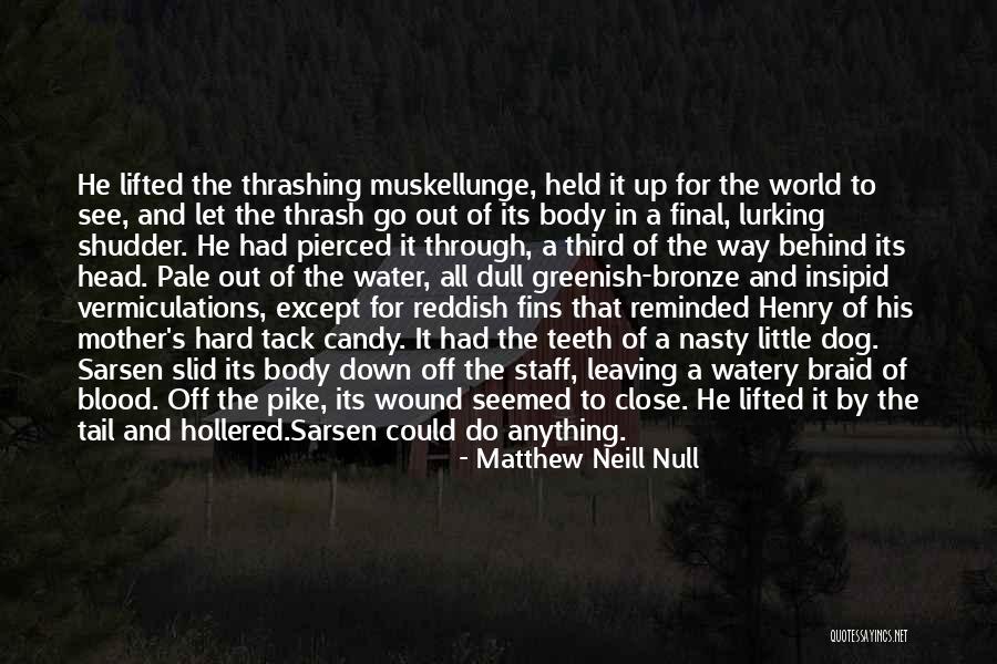 Dog Water Quotes By Matthew Neill Null Dog Water Quotes By Matthew Neill Null
