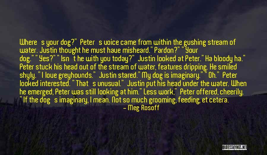 Dog Water Quotes By Meg Rosoff Dog Water Quotes By Meg Rosoff