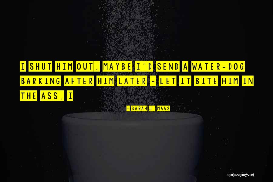 Dog Water Quotes By Sarah J. Maas Dog Water Quotes By Sarah J. Maas