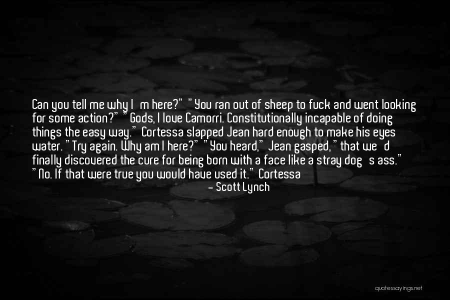 Dog Water Quotes By Scott Lynch