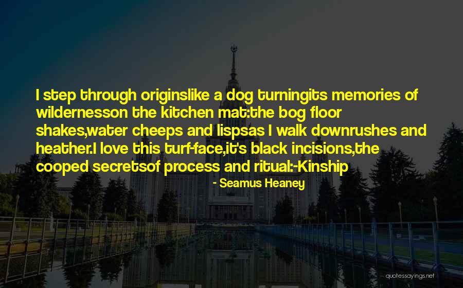 Dog Water Quotes By Seamus Heaney