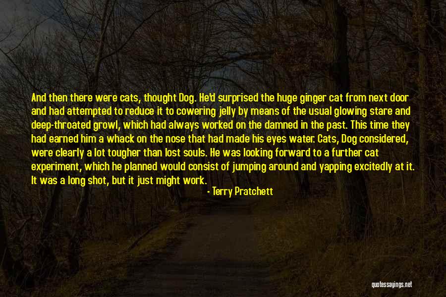 Dog Water Quotes By Terry Pratchett