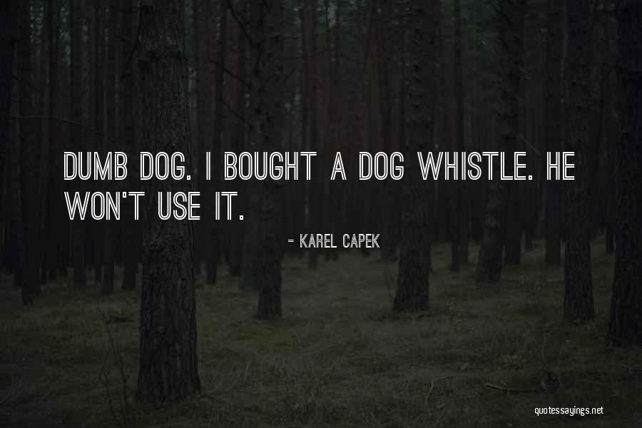 Dog Whistle Quotes By Karel Capek Dog Whistle Quotes By Karel Capek
